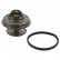 Termostato 09325 FEBI