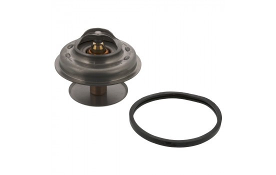 Termostato 09325 FEBI
