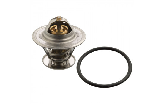 Termostato 17976 FEBI