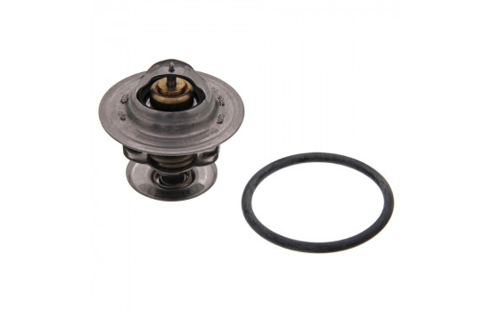 Termostato 17978 FEBI