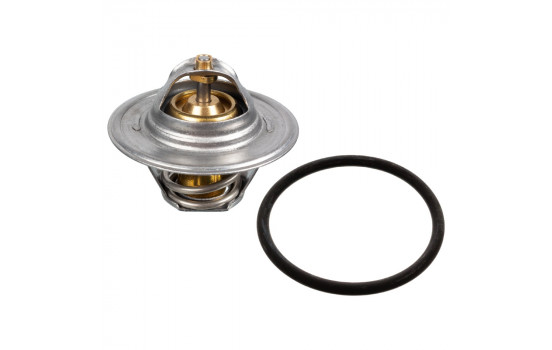 Termostato 18286 FEBI