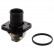 Termostato 22057 FEBI