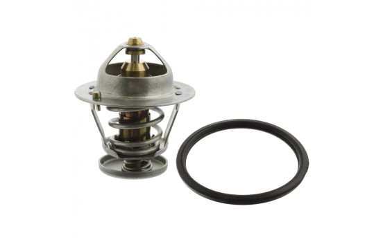 Termostato 26020 FEBI