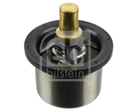 Termostato, refrigerante 173719 FEBI