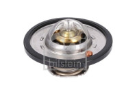 Termostato, refrigerante 193096 FEBI