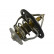 Termostato, refrigerante TH-3009 Kavo parts