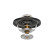Termostato, refrigerante TH-5509 Kavo parts, Miniatura 5