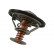 Termostato, refrigerante TH-5511 Kavo parts, Miniatura 2