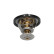 Termostato, refrigerante TH-6503 Kavo parts, Miniatura 5