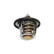 Termostato, refrigerante TH-8004 Kavo parts, Miniatura 4