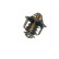 Termostato, refrigerante TH-9015 Kavo parts, Miniatura 2