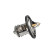 Termostato, refrigerante TH-9015 Kavo parts, Miniatura 6