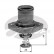 Termostato, refrigerante TH24989G1 Gates