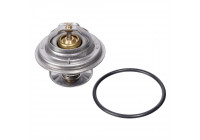 Termostato 09671 FEBI