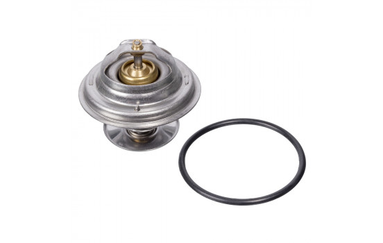 Termostato 09671 FEBI