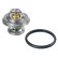 Termostato 09672 FEBI