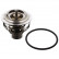 termostato 104765 FEBI