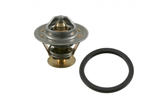 Termostato 11493 FEBI
