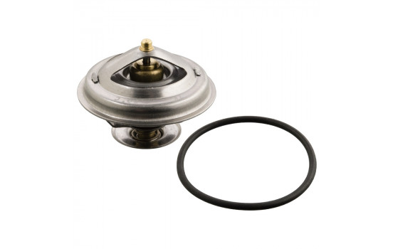Termostato 12189 FEBI