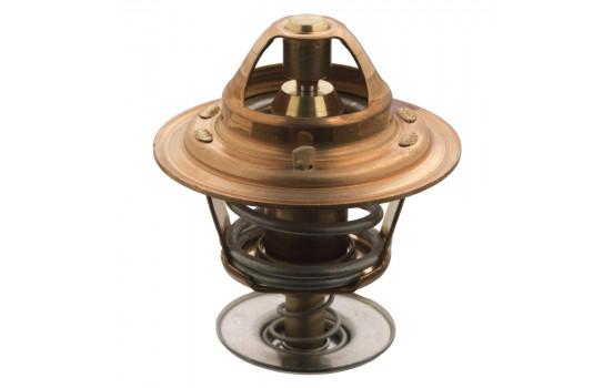 Termostato 15804 FEBI