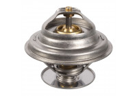Termostato 15846 FEBI