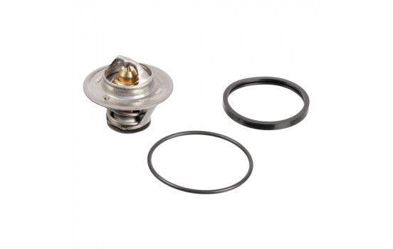 Termostato 17350 FEBI