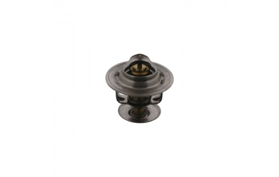 Termostato 17932 FEBI