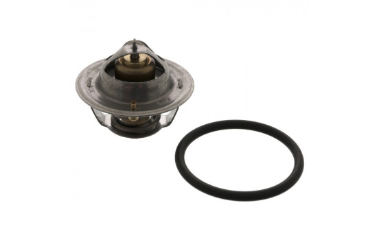 Termostato 18276 FEBI