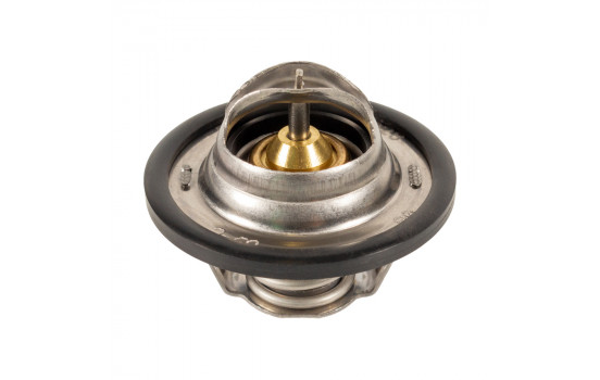 Termostato 24028 FEBI