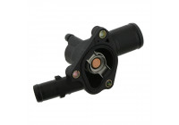 Termostato 24124 FEBI