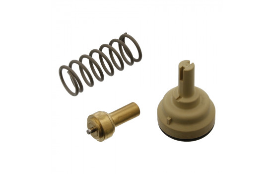 Termostato 36648 FEBI