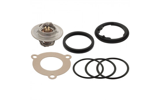 Termostato 38708 FEBI