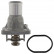 Termostato 49189 FEBI