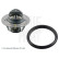 termostato con anillo de sellado ADBP920012 Blue Print