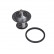 Termostato, refrigerante ADT39205 Blue Print