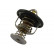 Termostato, refrigerante TH-1504 Kavo parts