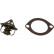 Termostato, refrigerante TH-4002 Kavo parts