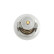 Termostato, refrigerante TH-6529 Kavo parts, Miniatura 4