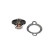 Termostato, refrigerante TH-8501 Kavo parts, Miniatura 5