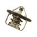 Termostato, refrigerante TH-8504 Kavo parts
