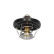 Termostato, refrigerante TH-8504 Kavo parts, Miniatura 5