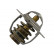 Termostato, refrigerante TH-9017 Kavo parts, Miniatura 2