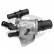 Termostato, refrigerante TH28888G1 Gates