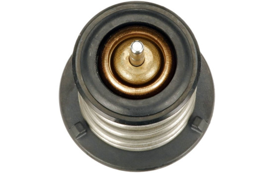Termostato, refrigerante TH60380G1 Gates, Imagen 2
