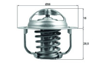 Termostato, refrigerante