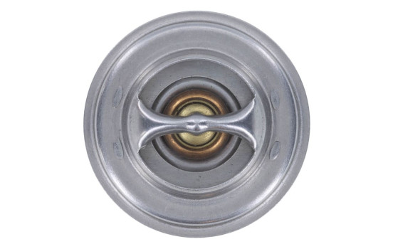 Termostato, refrigerante