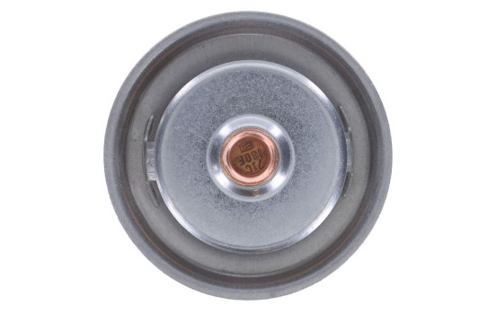 Termostato, refrigerante, Imagen 3