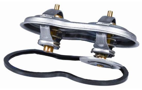 TERMOSTATO SCANIA, Imagen 2