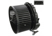 Pulseur d'air habitacle