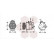 Compresseur, climatisation, Vignette 2